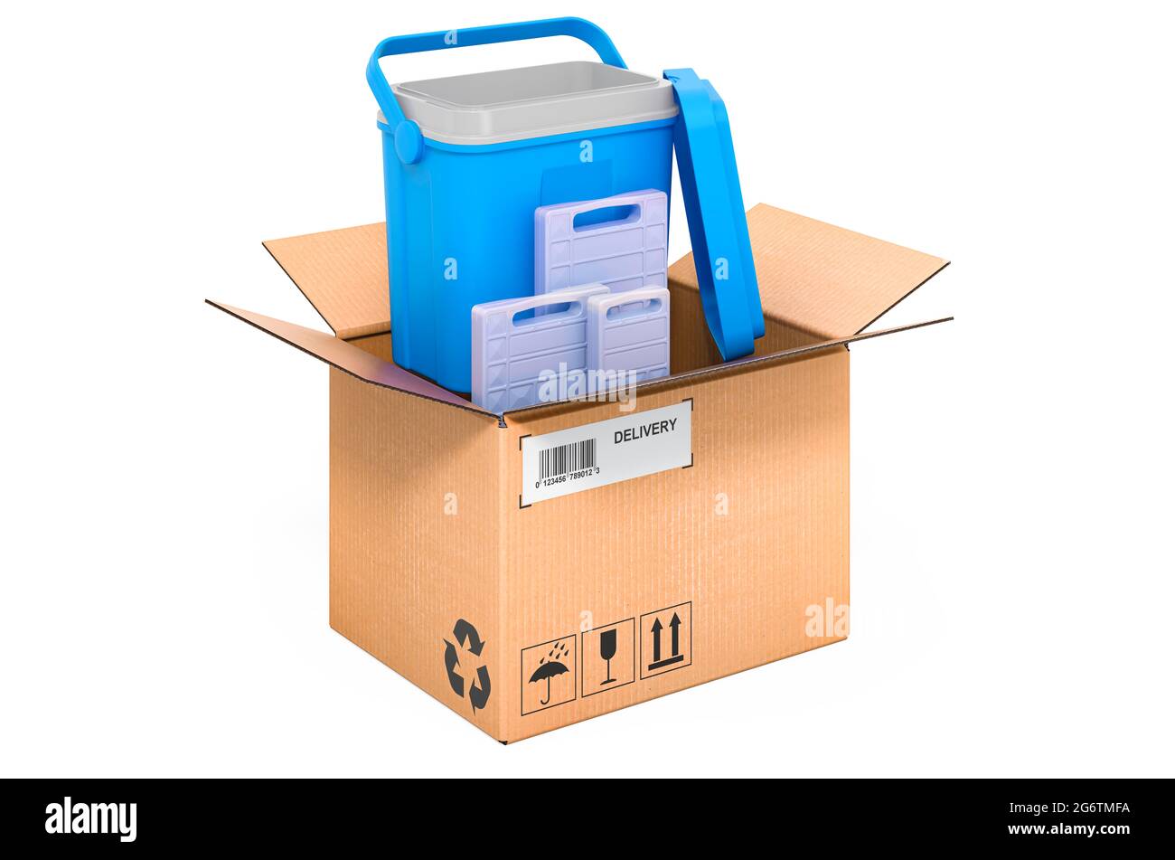 Réfrigérateur portable ou bac froid à l'intérieur de la boîte en carton, concept de livraison. Rendu 3D isolé sur fond blanc Banque D'Images