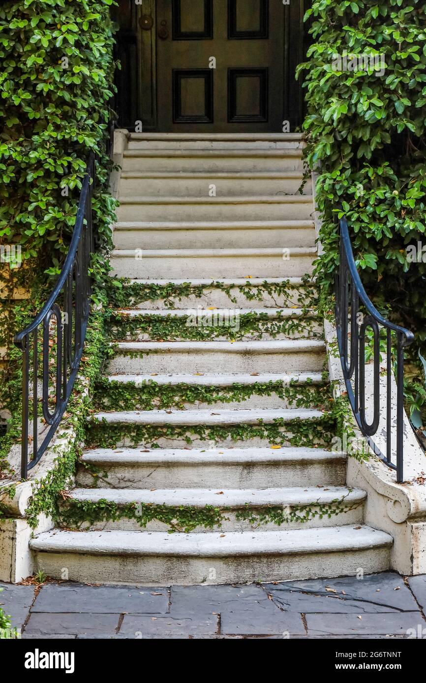 Escalier extérieur couvert de verdure à quelques pas d'un bâtiment ou d'une  maison Photo Stock - Alamy