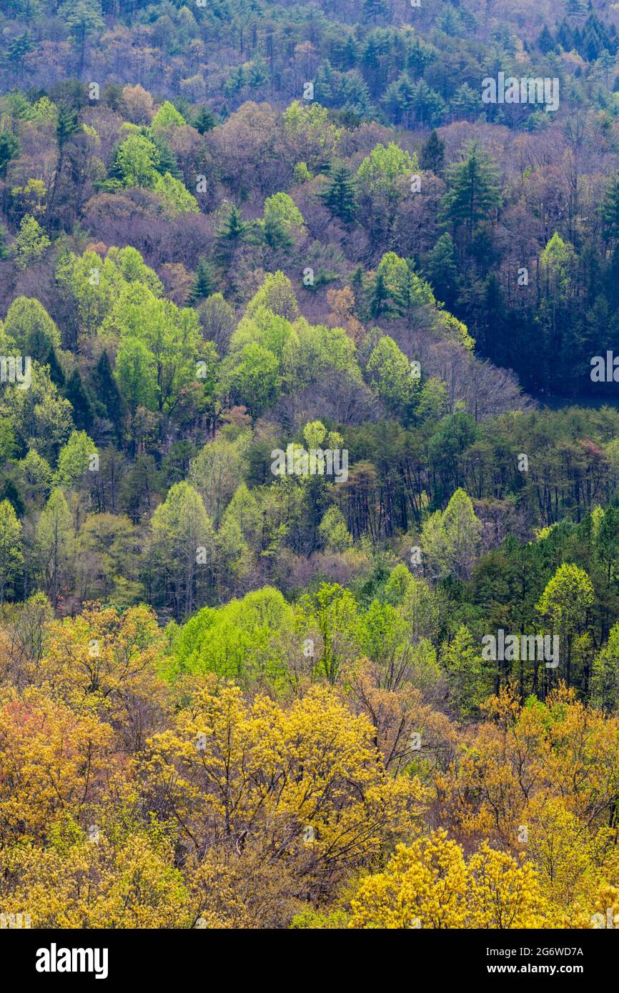 Prenez la Foothills Parkway Banque D'Images