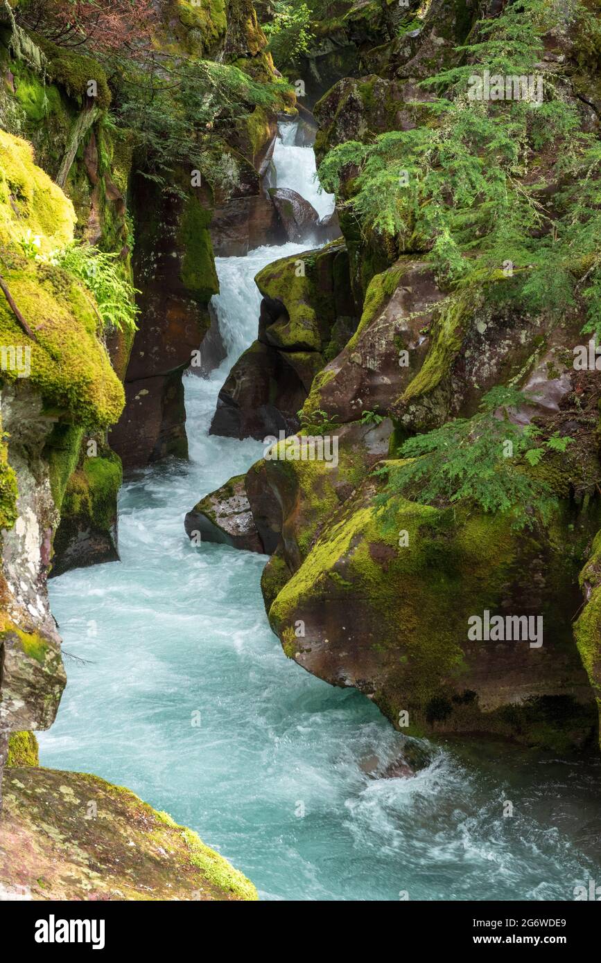 Canyon d'Avalanche creek Banque D'Images