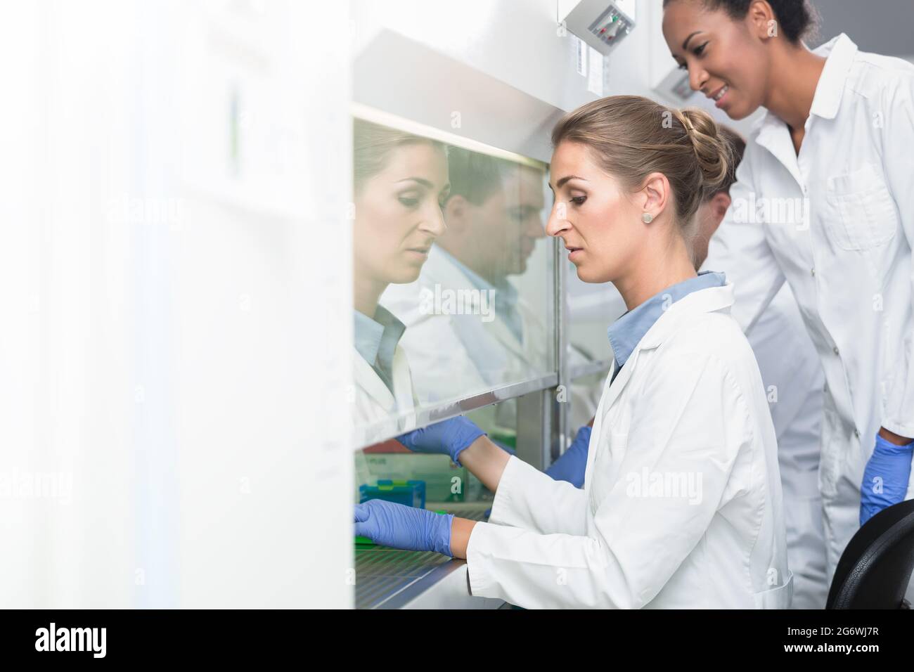 Chercheur et son assistant travaillent ensemble sur des échantillons scientifiques Banque D'Images