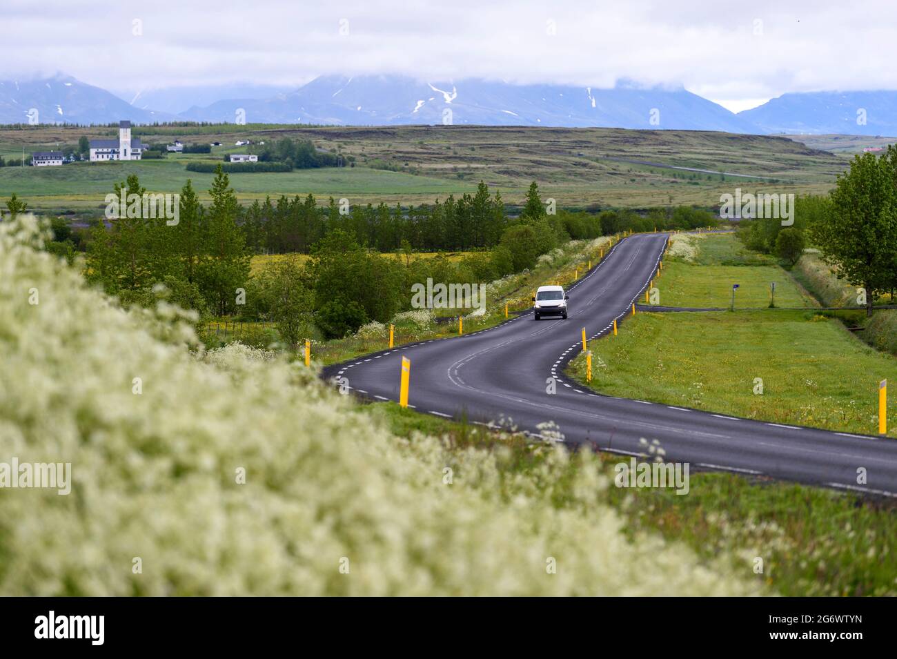 Vue sur le paysage des montagnes et de l'herbe verte en été frais et lumineux, fleurs sauvages en pleine floraison, voitures blanches conduisant sur les routes de campagne islandaises, Banque D'Images