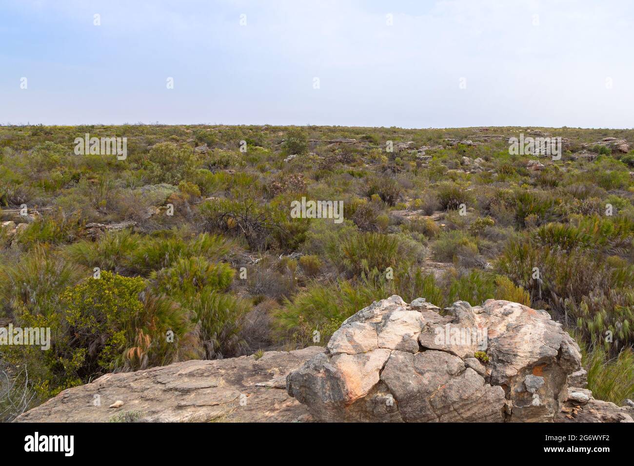 Paysage sur le plateau de Bokkeveld près de Nieuwoudtville dans le Cap Nord de l'Afrique du Sud Banque D'Images