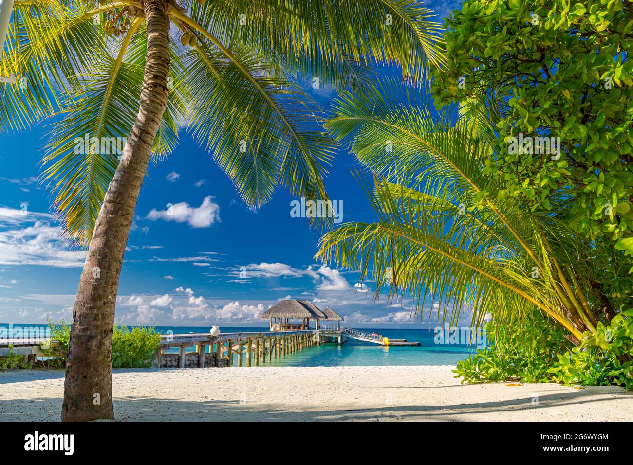 Villas de l'eau dans les Maldives, vue pittoresque avec feuilles de palmier, ciel bleu de mer. Île idyllique paysage de plage, nature tropicale. Vacances de luxe Banque D'Images