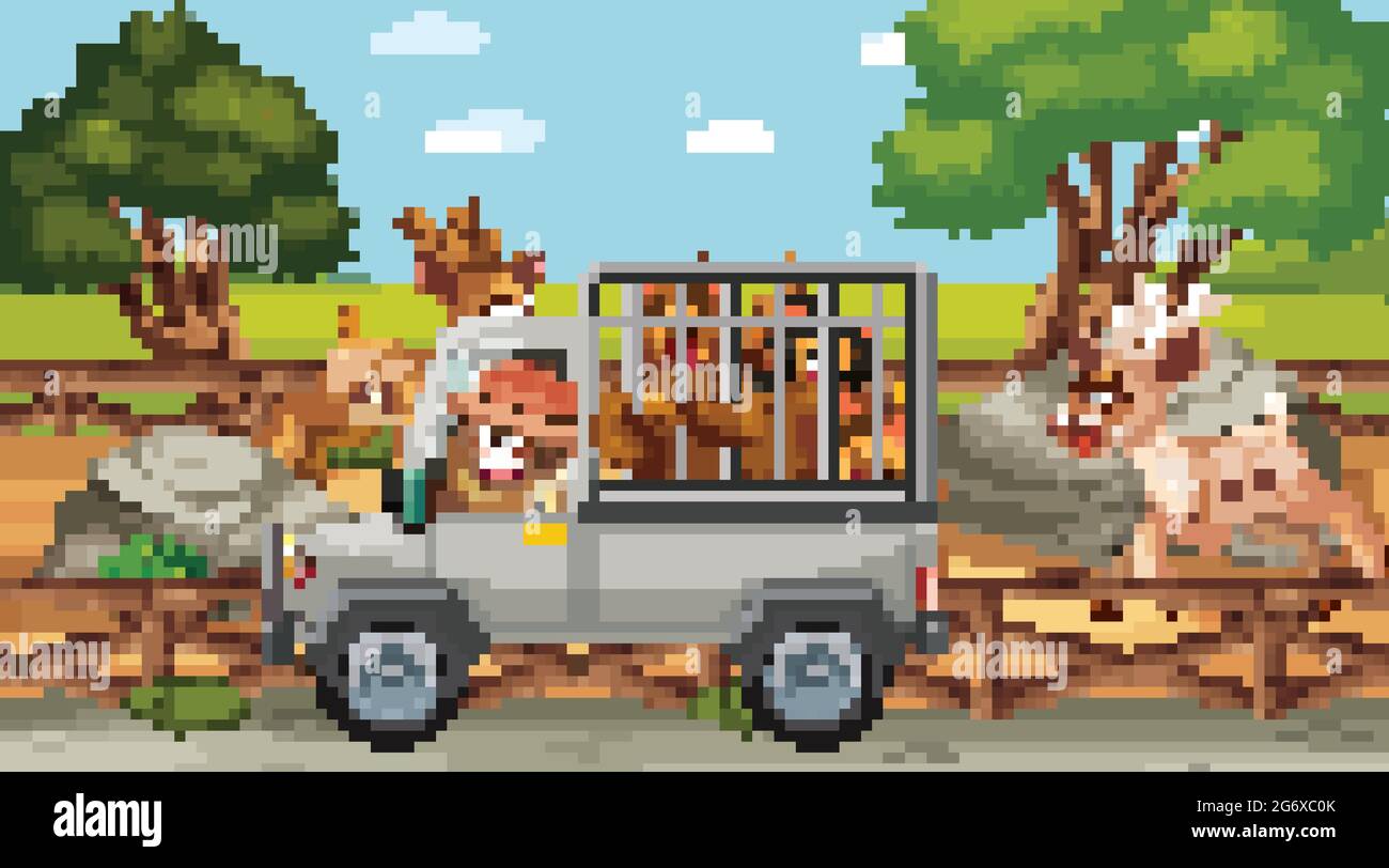 Scène Safari avec de nombreux ours dans une illustration de voiture en cage Illustration de Vecteur