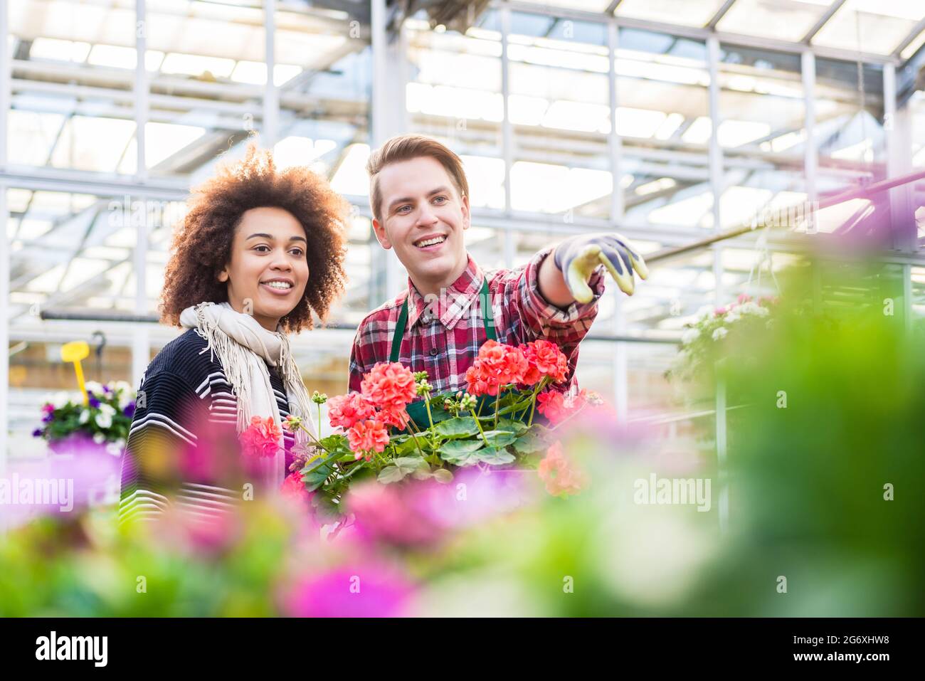 Vue à angle bas d'un vendeur joyeux et beau montrant à une cliente une belle maison ornementale à vendre dans un magasin de fleurs moderne Banque D'Images