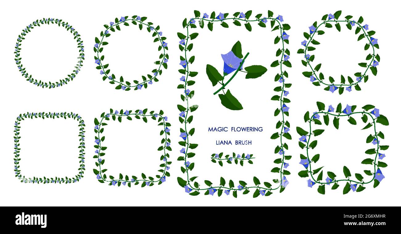 Pinceau de liana vert fleuri avec des fleurs bleues. Pinceau réaliste pour décorer des cadres, des cartes d'invitation. Vecteur Illustration de Vecteur