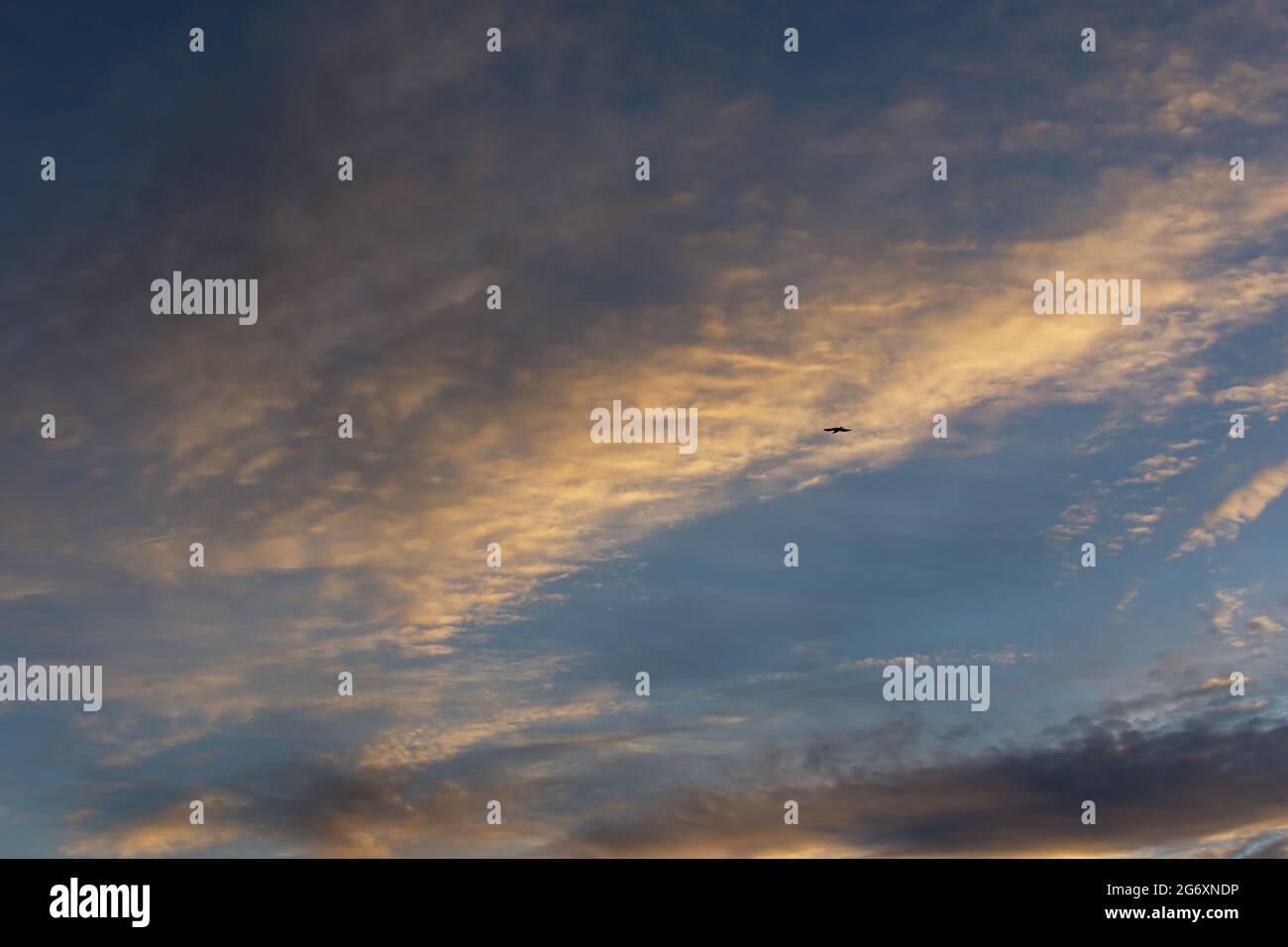 Ciel d'aigle magnifiques nuages. Une silhouette noire d'un oiseau de proie qui s'envolent parmi les nuages. Le concept de liberté, d'indépendance, de force, de ruse. Ou Banque D'Images