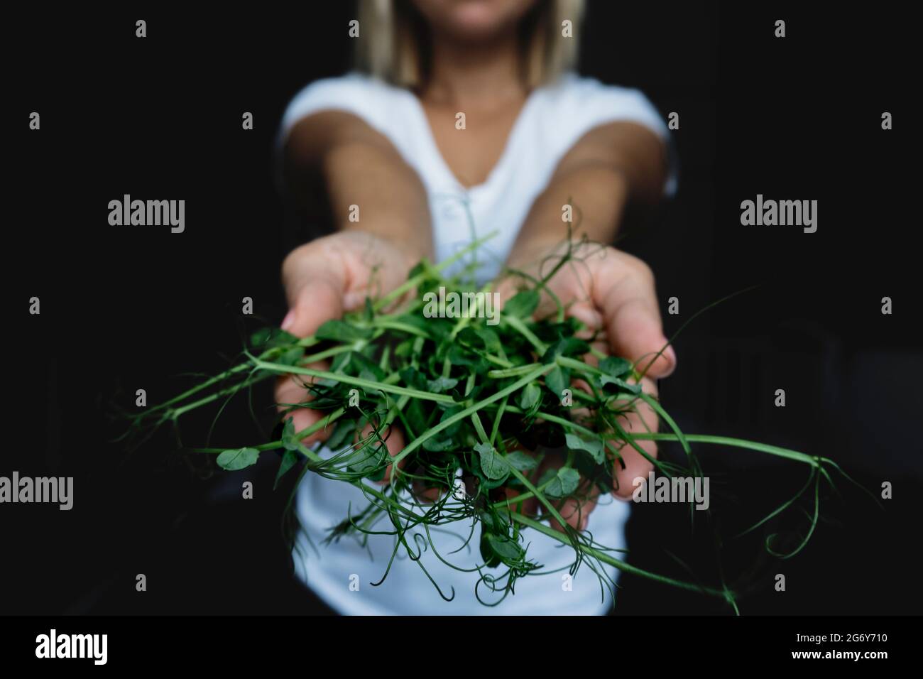 Concept d'aliments sains. Banque D'Images