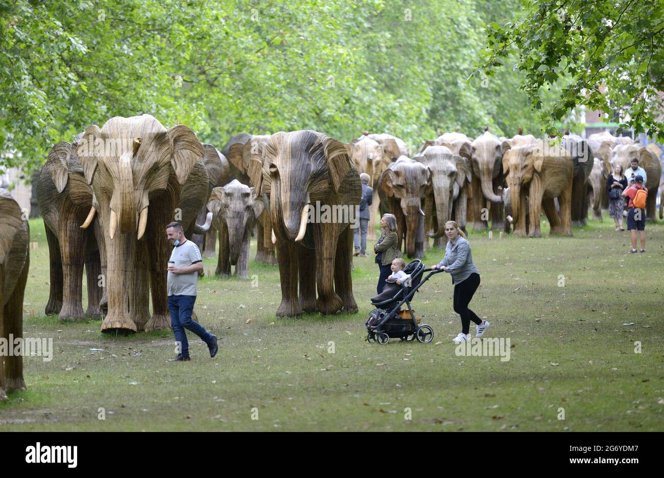 Londres, Angleterre, Royaume-Uni. 'Coexistence' - exposition d'art environnemental composée de 100 éléphants de bois grandeur nature se déplaçant à Londres. Ici en Pa verte Banque D'Images