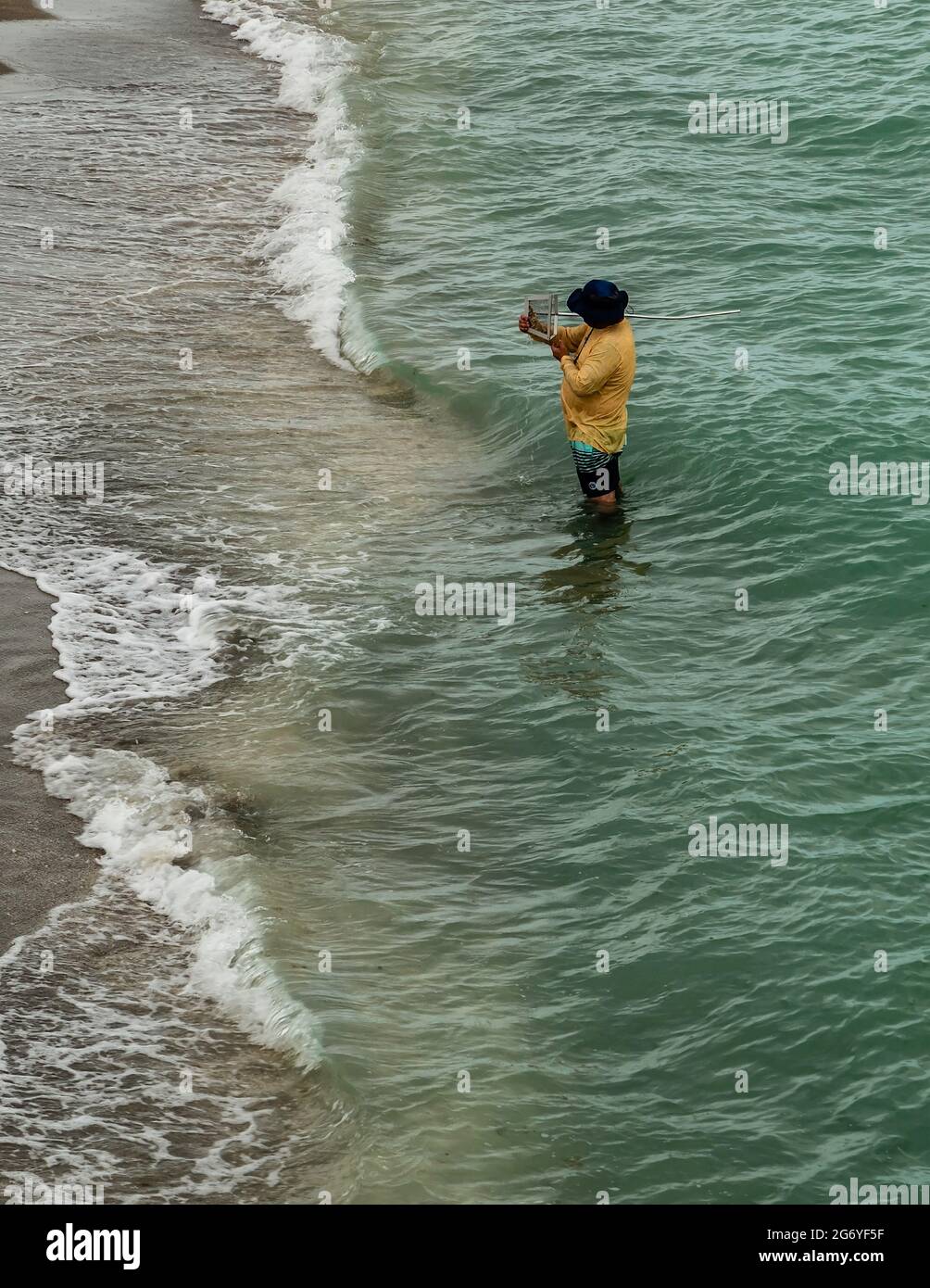 Homme utilisant un panier de drague à la recherche de dents de requin dans le sable à la plage de Venise, Floride. La zone côtière de Venise, juste au sud de Sarasota, se trouve Banque D'Images