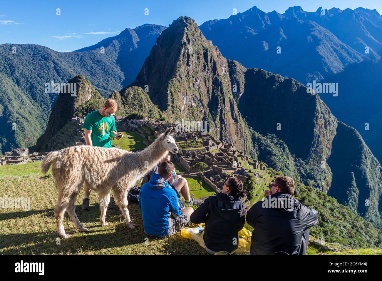 MACHU PICCHU, PÉROU - 18 MAI 2015: Touristes avec un lama aux ruines de Machu Picchu, Pérou. Banque D'Images