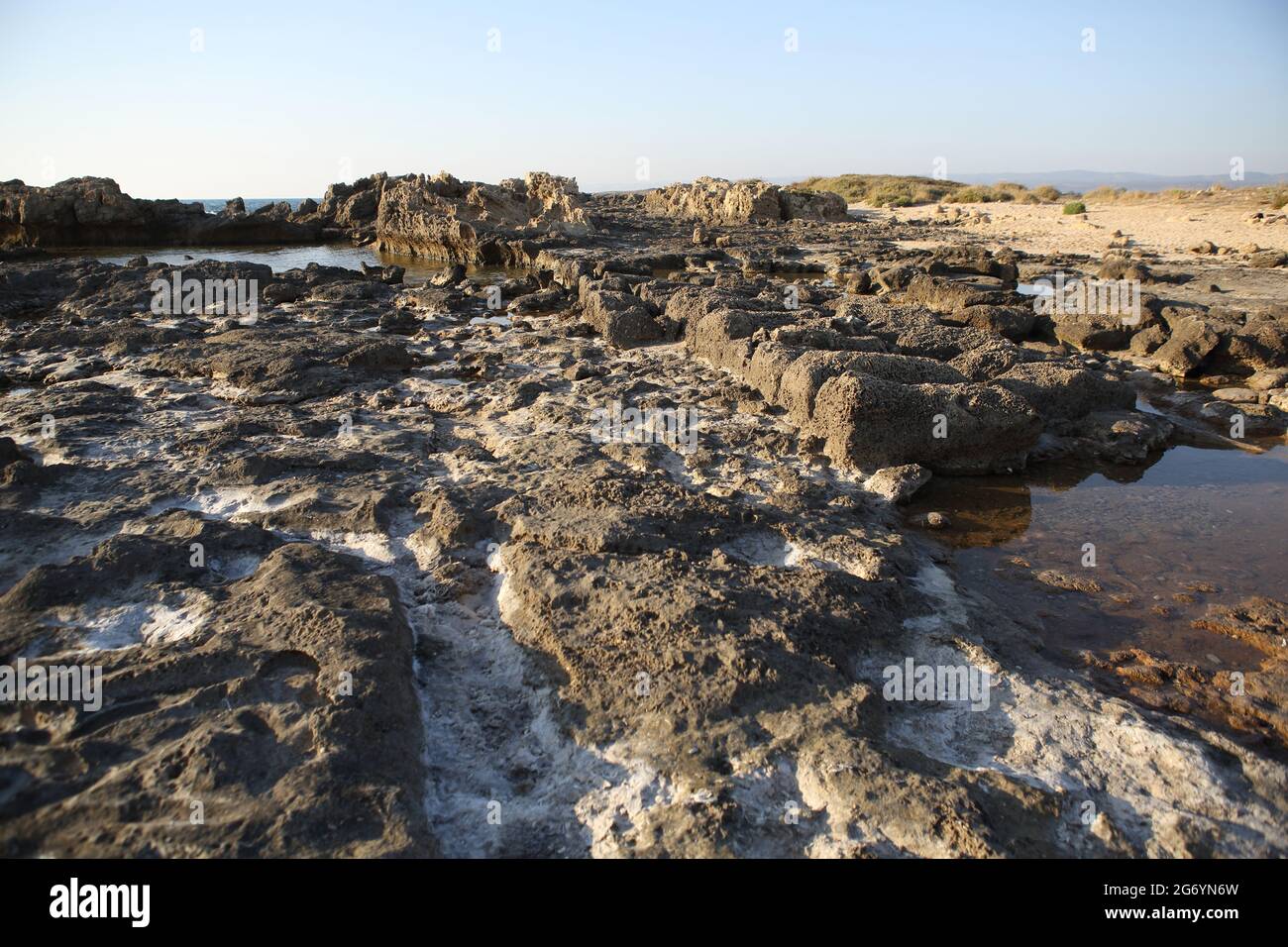 Piscine en grès en ruines de l'époque hellénistique sur une plage près de phénicien tel Dor, ici ont été cultivés escargots de mer à partir de laquelle le Violet de royauté a été fait. Banque D'Images