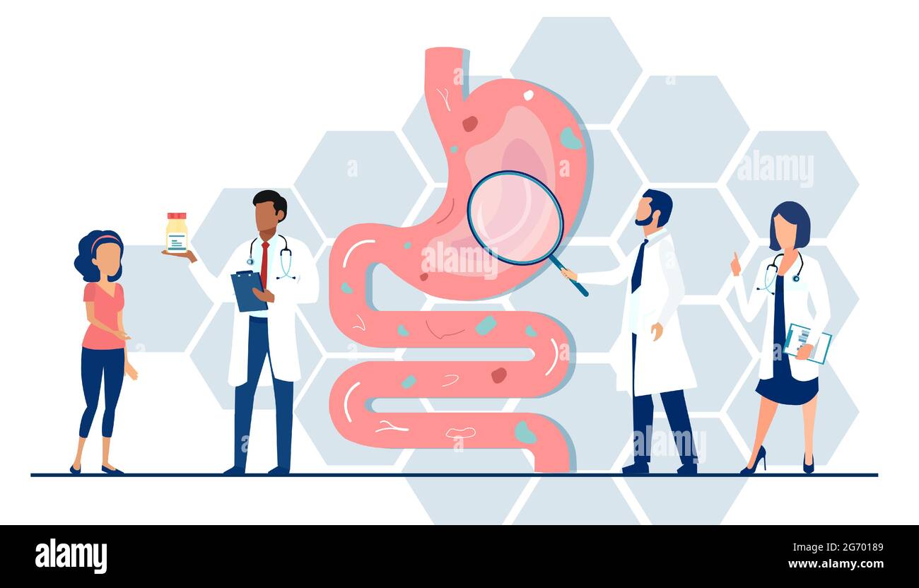 Vecteur d'une équipe médicale médecins examinant le tractus gastro-intestinal et le système digestif donnant des conseils à un patient Illustration de Vecteur