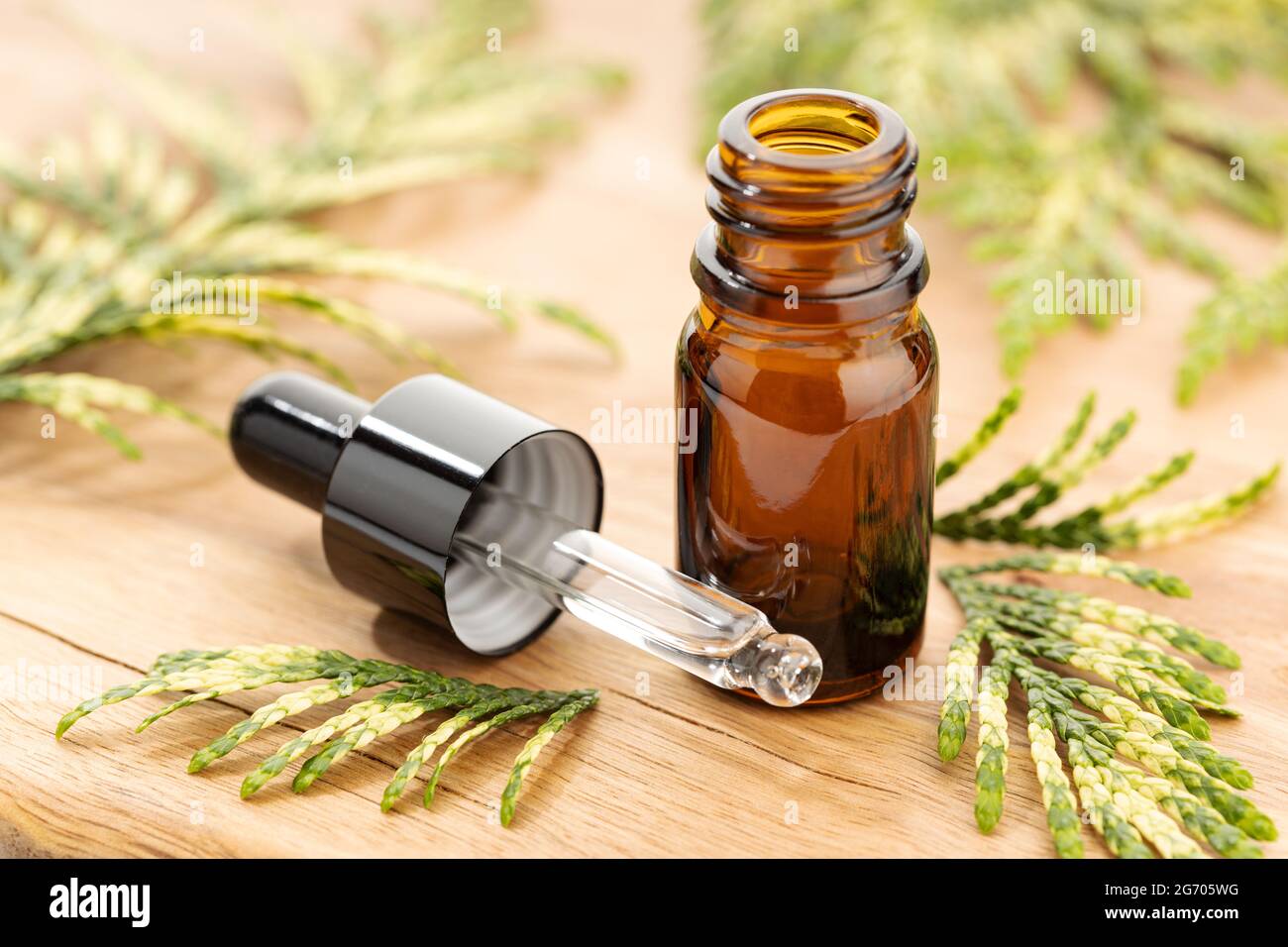 Huile essentielle Cypress à vie. Remèdes à base de plantes Banque D'Images