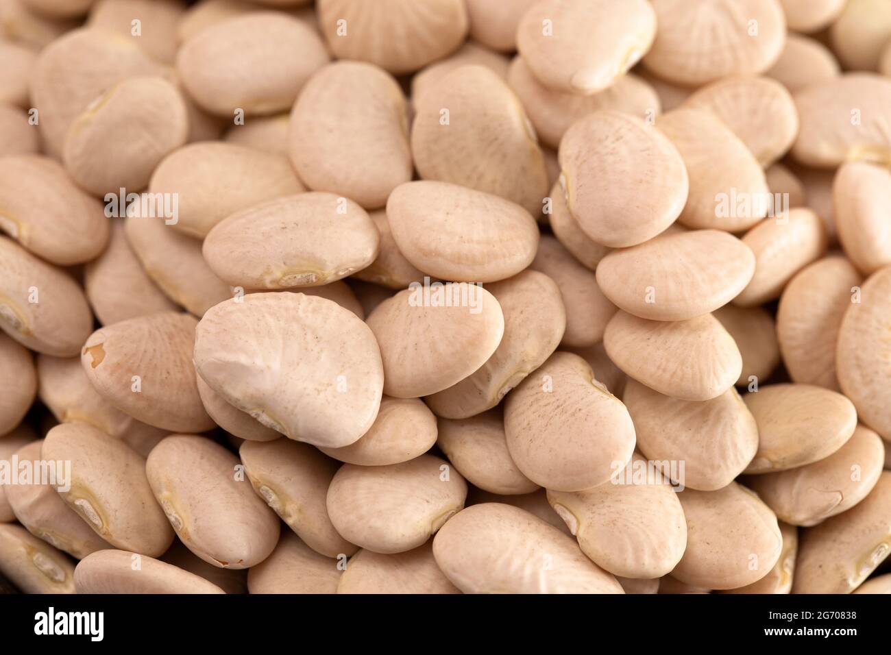 Un fond de haricots de Lima de bébé ou de haricots de beurre Banque D'Images