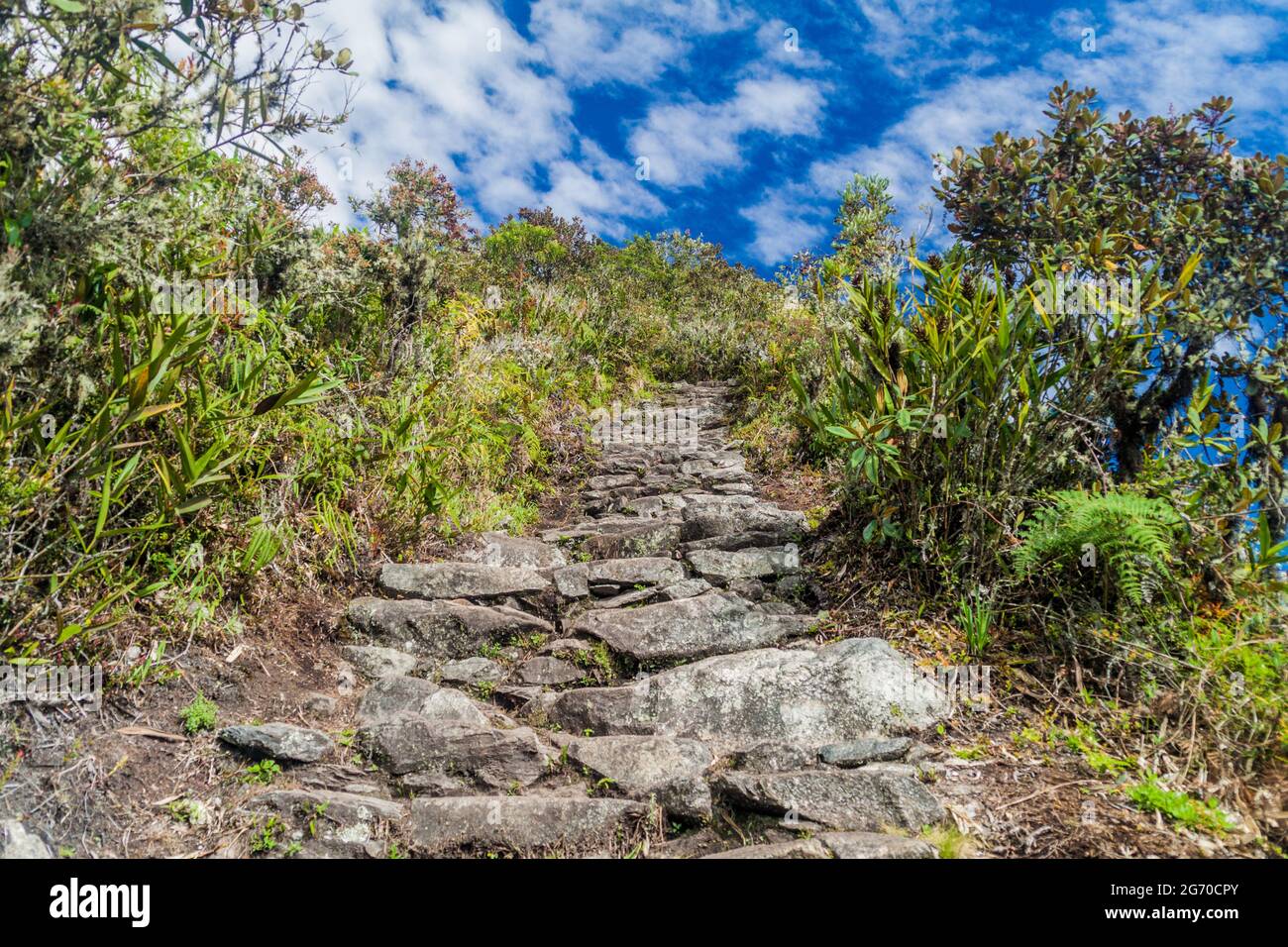 Sentier escarpé menant à la montagne Machu Picchu, Pérou Banque D'Images