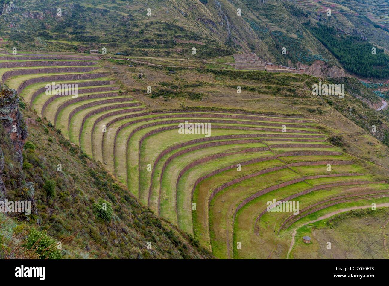 Terrasses agricoles inca à Pisac, Vallée Sacrée, Pérou Banque D'Images