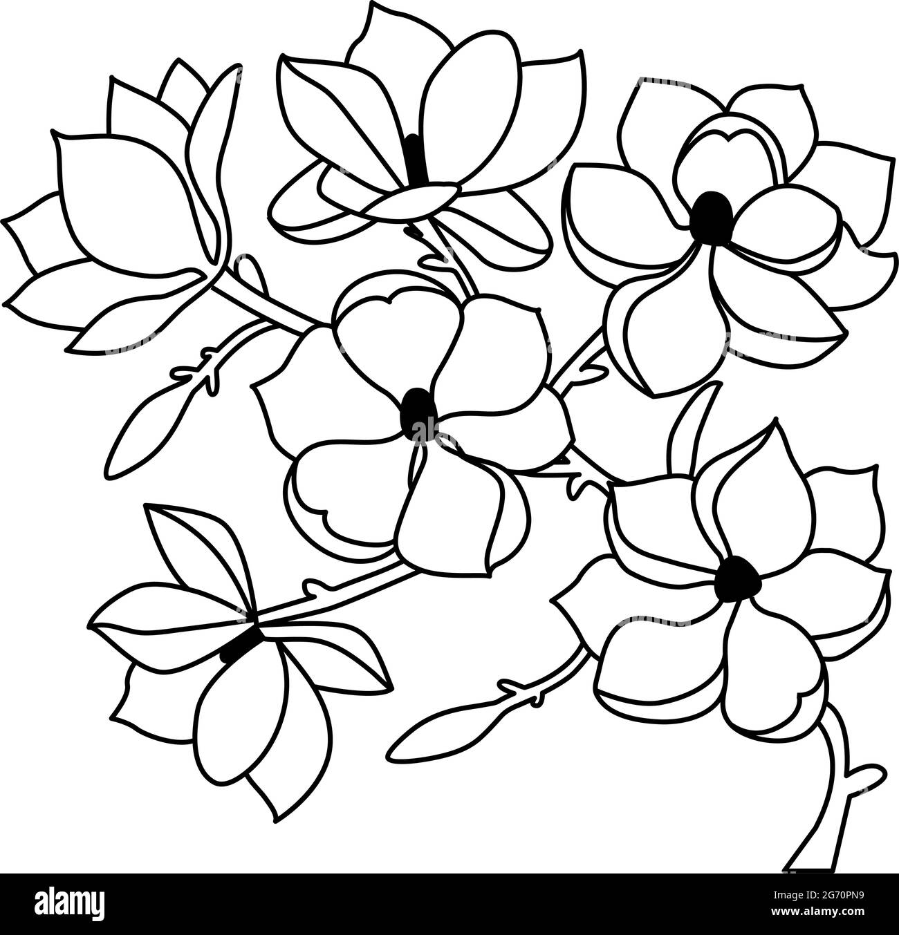 Une branche de fleurs de magnolia de style linéaire sur un fond blanc isolé. Illustration vectorielle Illustration de Vecteur
