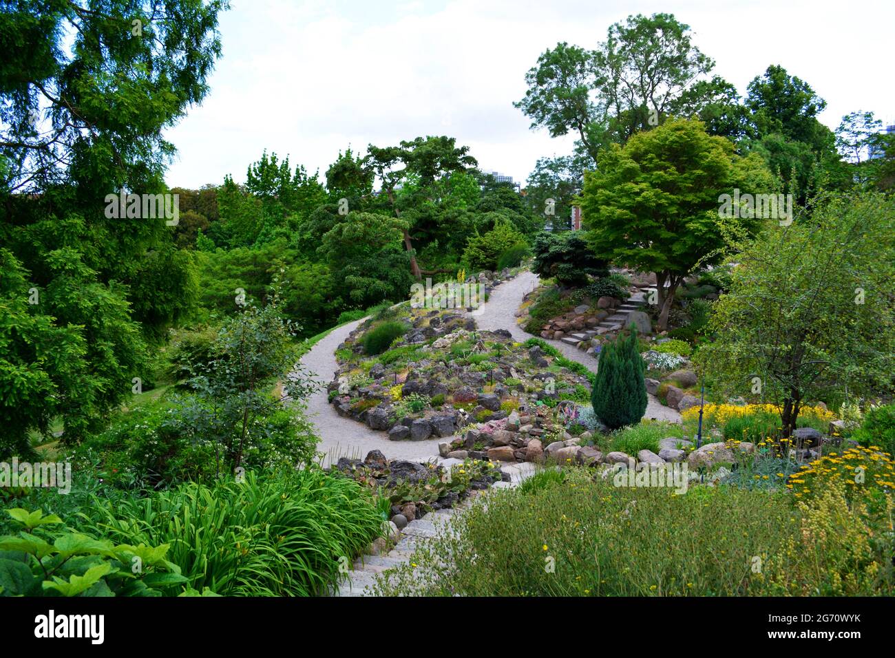 Copenhague, Danemark - juillet 2021 : belle nature, arbres et plantes dans la zone ouverte du jardin botanique de l'Université de Copenhague Banque D'Images