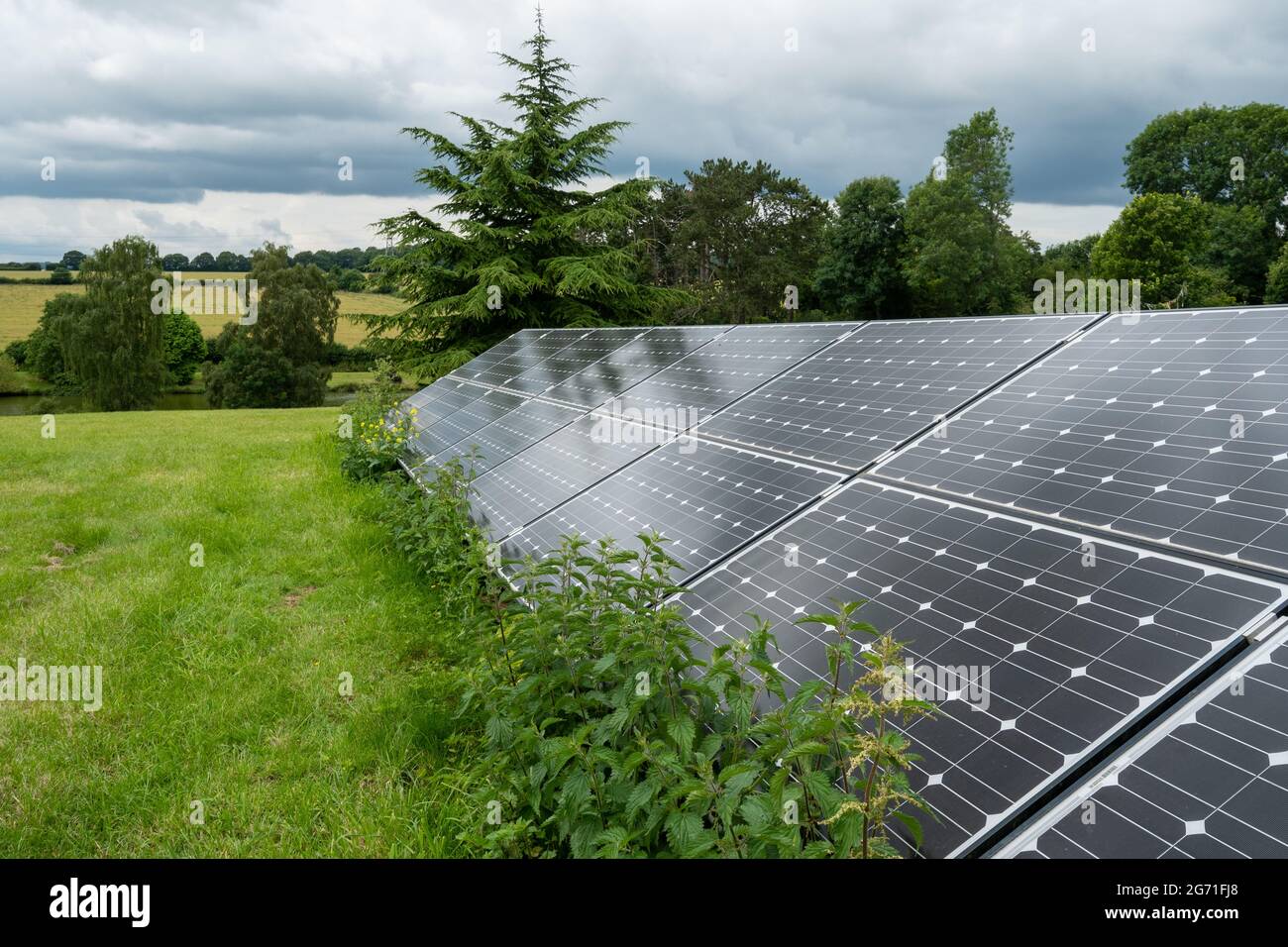 Panneaux d'énergie solaire dans un champ dans la campagne du Royaume-Uni pour produire de l'électricité renouvelable à partir de la lumière du soleil Banque D'Images