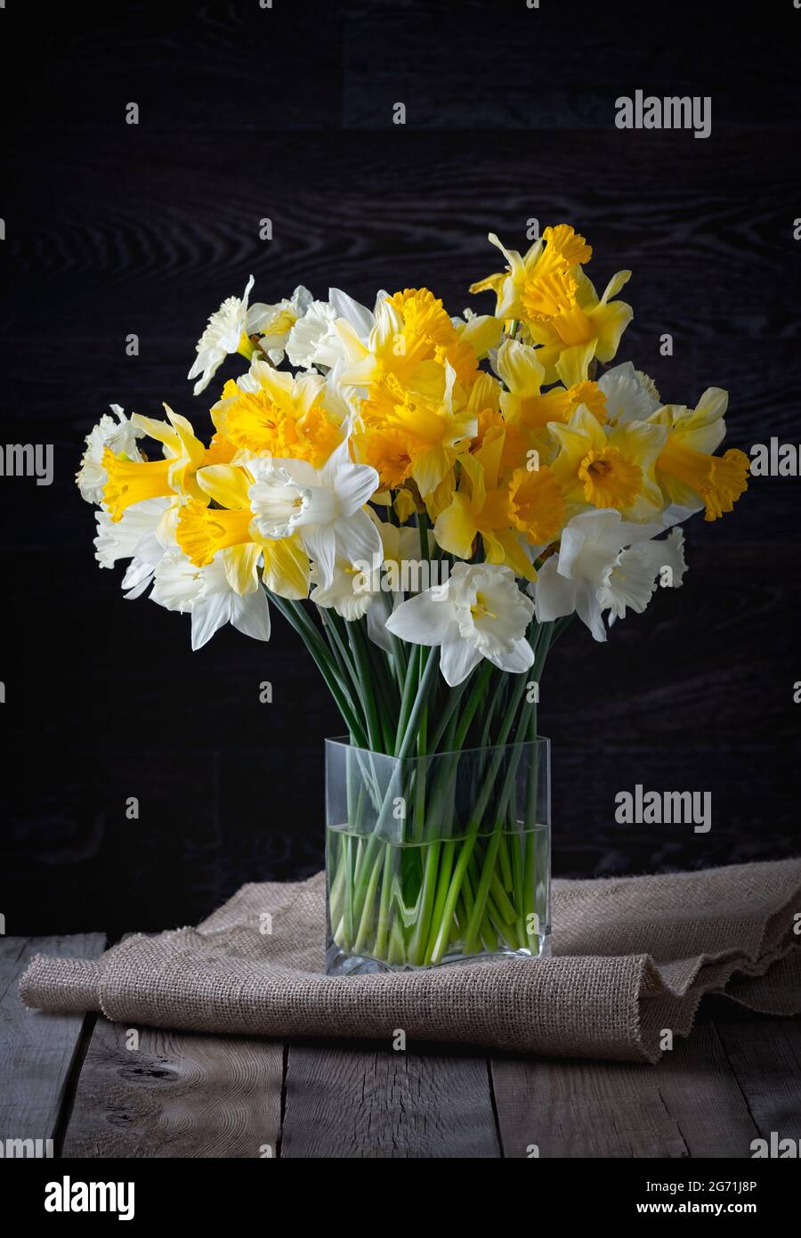 Printemps frais jonquilles jaune vif fleurs dans un vase en verre sur fond sombre. Copier l'espace. Banque D'Images