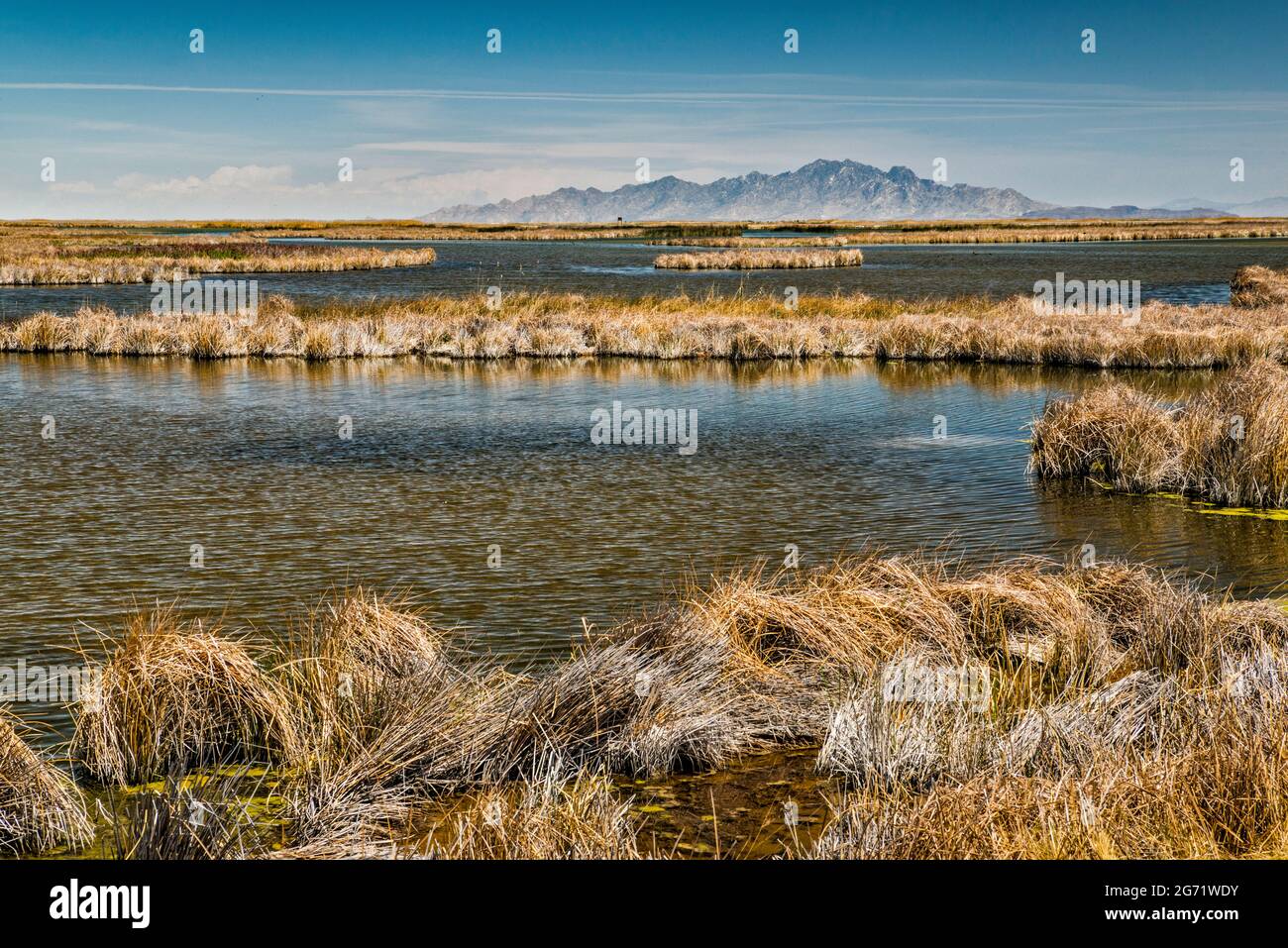 Piscine aquatique à la réserve naturelle nationale de Fish Springs, Dugway Range in Dist, Pony Express Trail, Back Country Byway, Fish Springs Flat, Great Basin Utah Banque D'Images