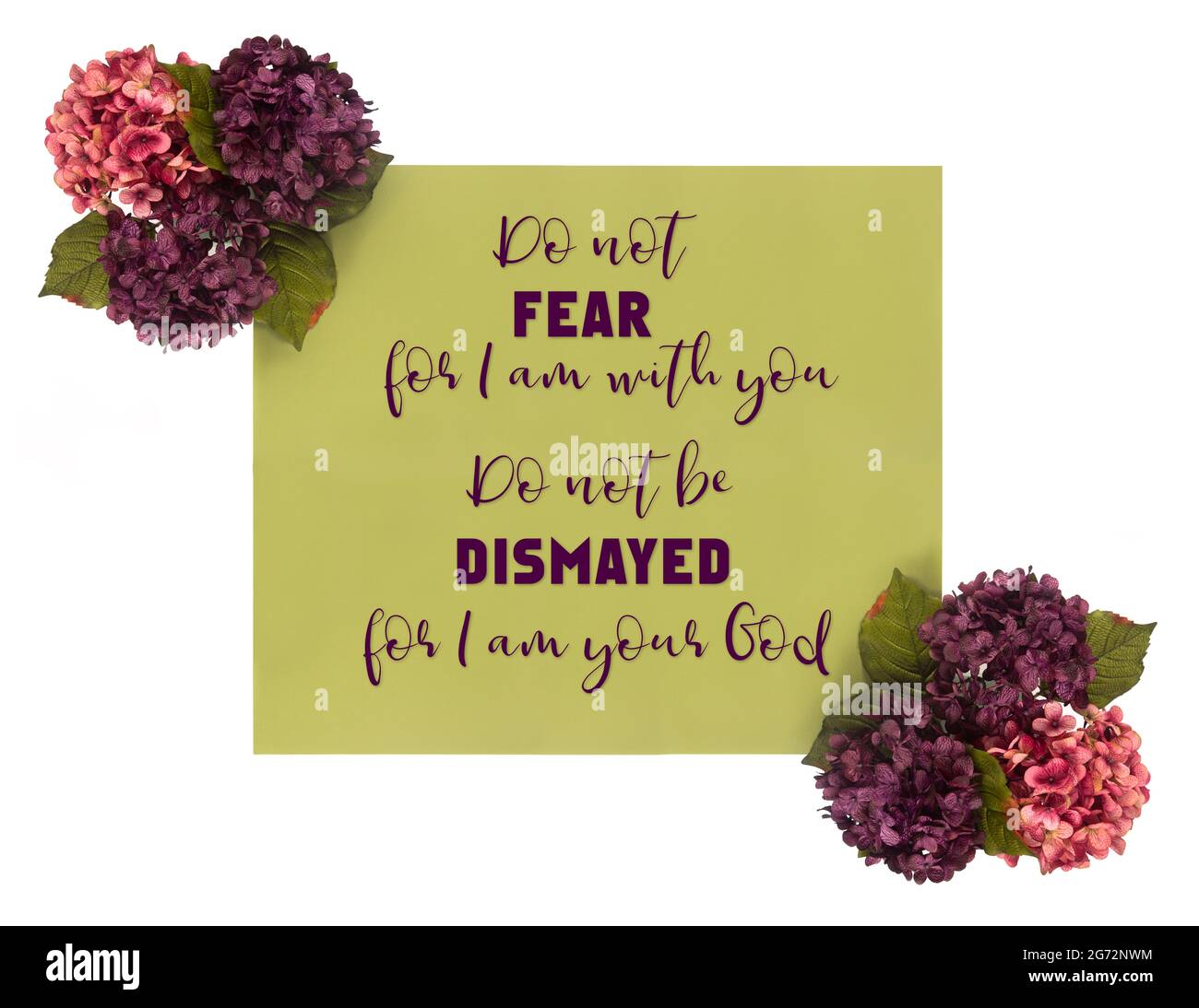 Une Citation Inspiree De La Bible Dans Un Cadre Avec Des Fleurs D Hydrangea Photo Stock Alamy
