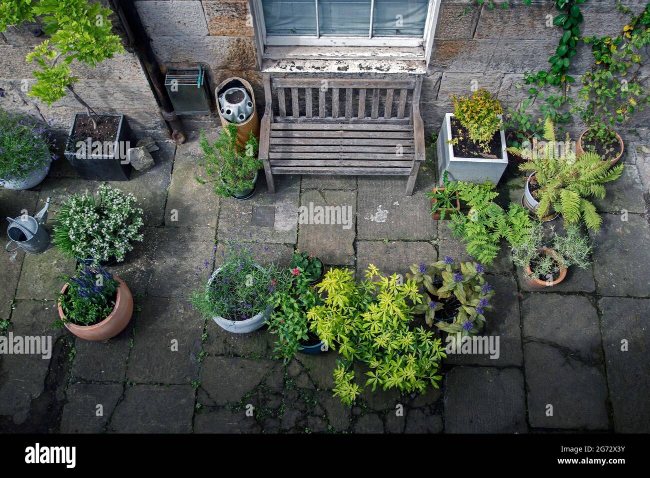 Sous-sol jardin plat en été dans la Nouvelle ville, Édimbourg, Écosse, Royaume-Uni. Banque D'Images