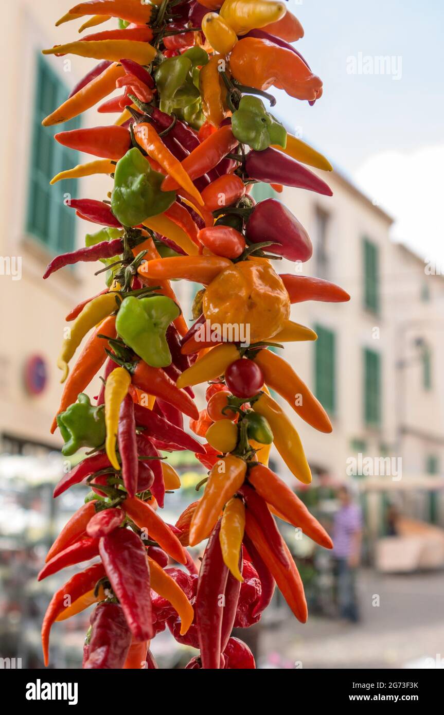 les piments sont suspendus pour sécher Banque D'Images