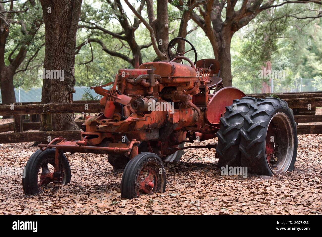 Tracteur rouge dans les terres agricoles couvertes de feuillage d'automne Banque D'Images