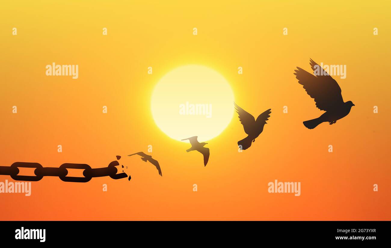 Concept de liberté avec des chaînes se brisant et se transformant en colombe libre qui vole loin au coucher du soleil. Concept de liberté Banque D'Images