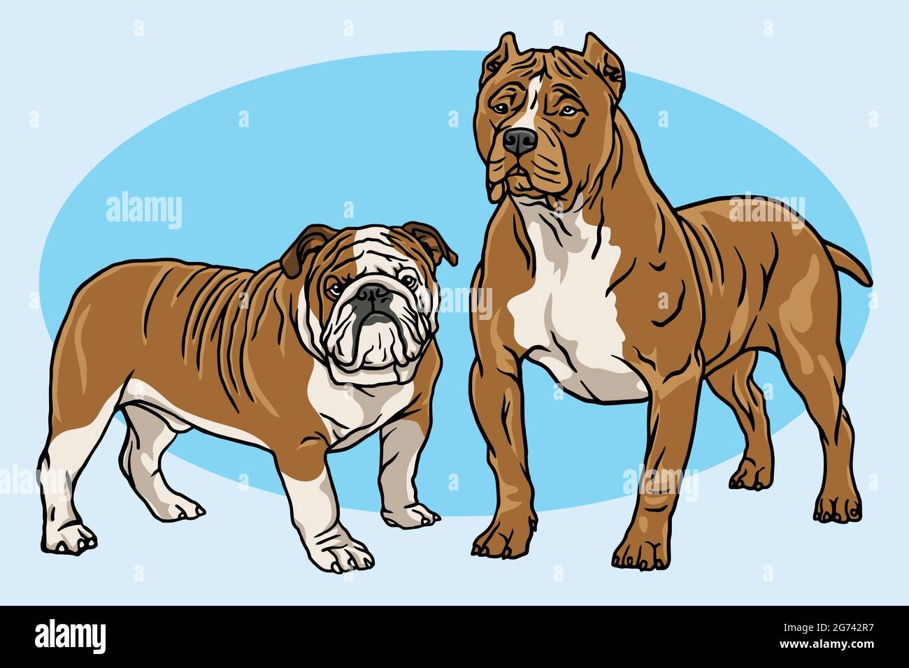 Collection Dogs Vector Cartoon Drawing Set. Bulldog et Pitbull Illustration Illustration de Vecteur