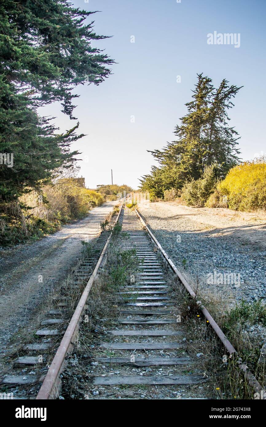 Un embranchement de chemin de fer abandonné à Wilder Ranch, Santa Cruz, Californie. Voies parallèles surdéveloppées mais réparables qui disparaissent au loin. Banque D'Images