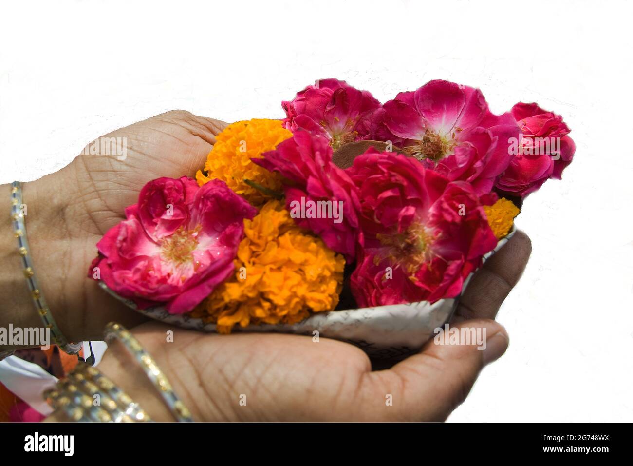 Les palmiers pleins de fleurs pour offrir avec le sentiment religieux, isolé dans le fond blanc Banque D'Images