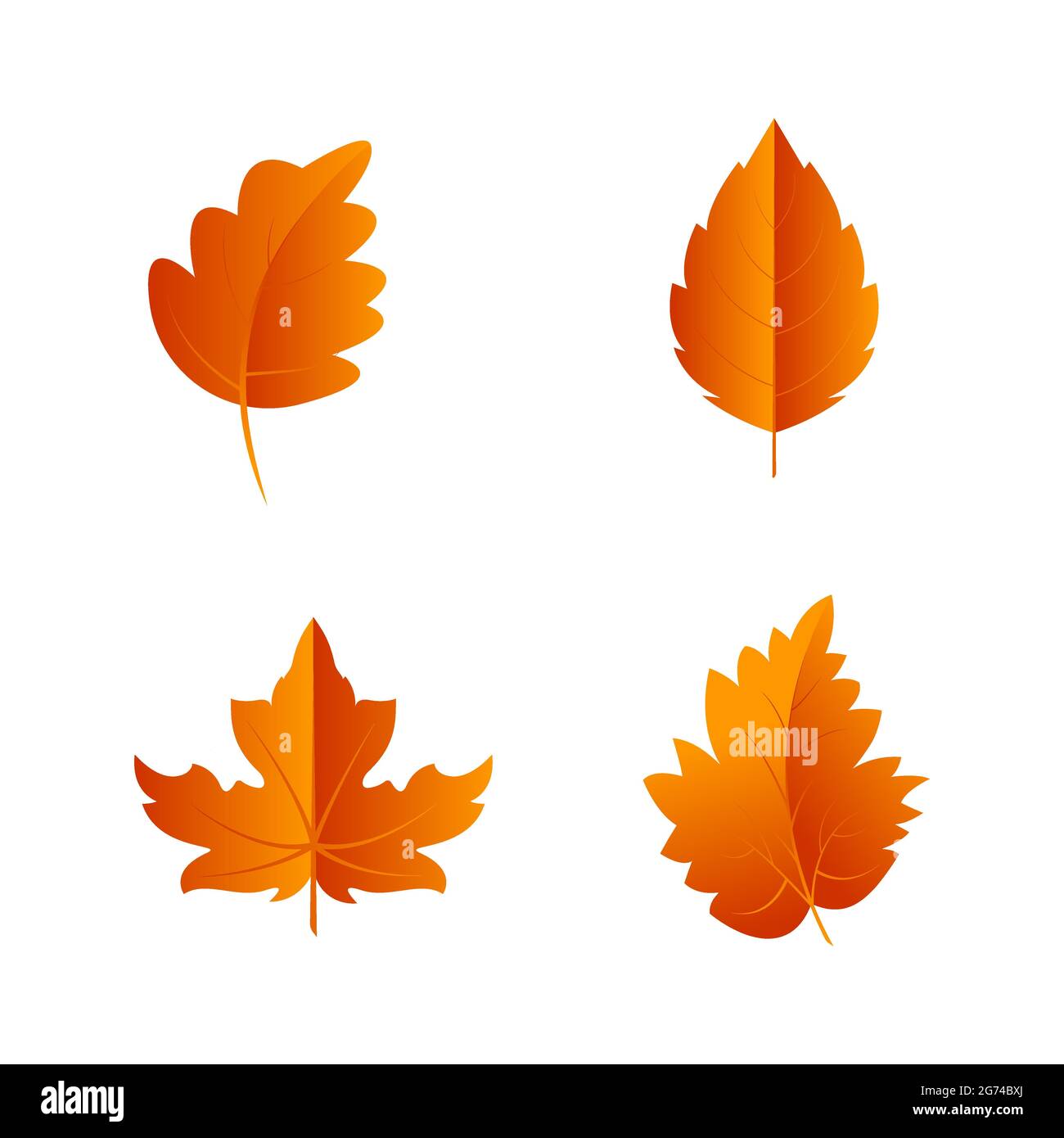 Modèle d'illustration de la conception de l'élément d'automne Vector Icon Illustration de Vecteur