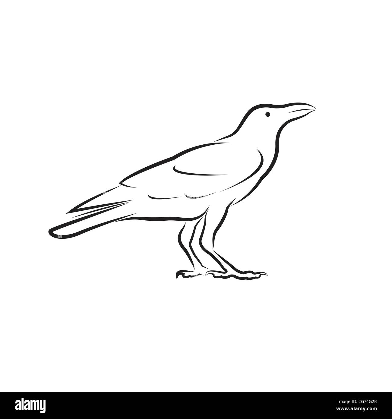 Vecteur de conception de corbeau isolé sur fond blanc. Illustration vectorielle superposée facile à modifier. Animaux sauvages. Illustration de Vecteur