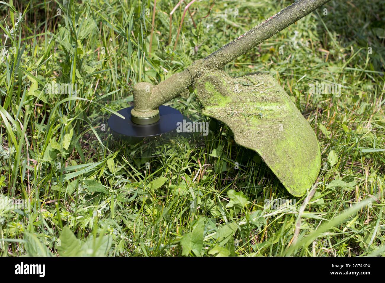 Une tondeuse à main tond l'herbe en été dans le jardin. Pour un magasin d'équipement de jardin. Banque D'Images