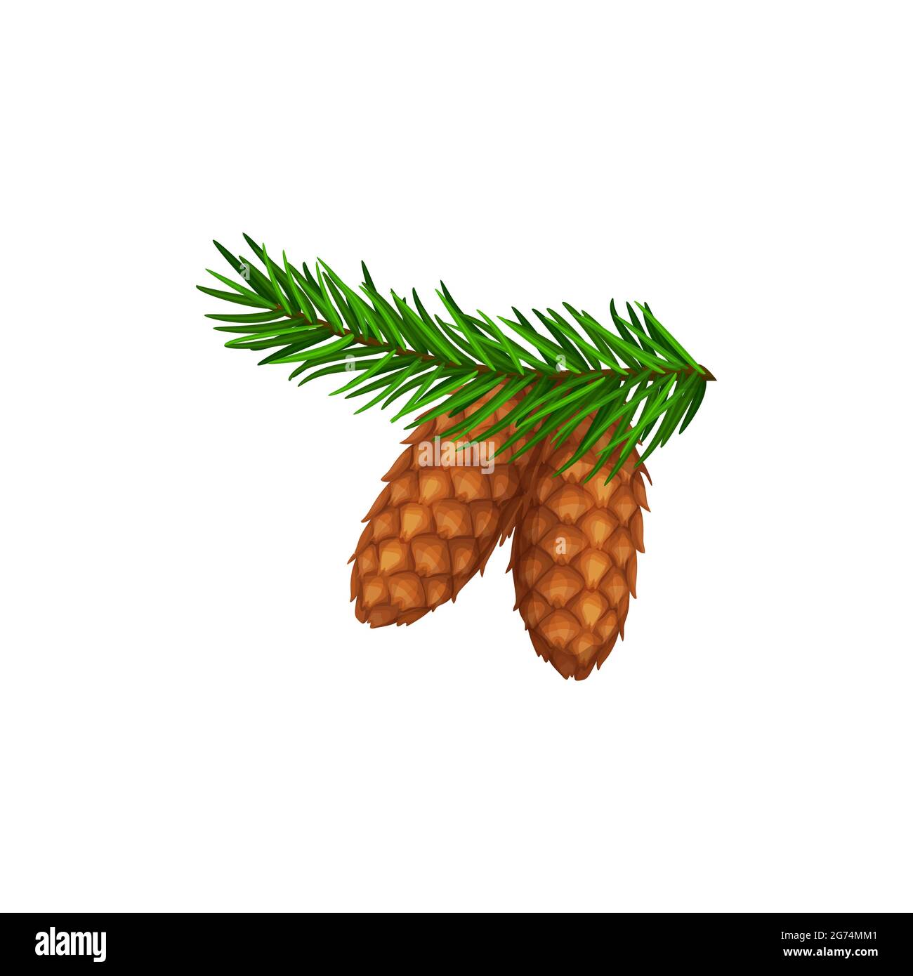 Cônes sur branche de pin ou de sapin, forêt de pinecone isolé icône de vecteur. Noël hiver ou Thanksgiving automne saison symbole de vacances de cèdre, épicéa Illustration de Vecteur