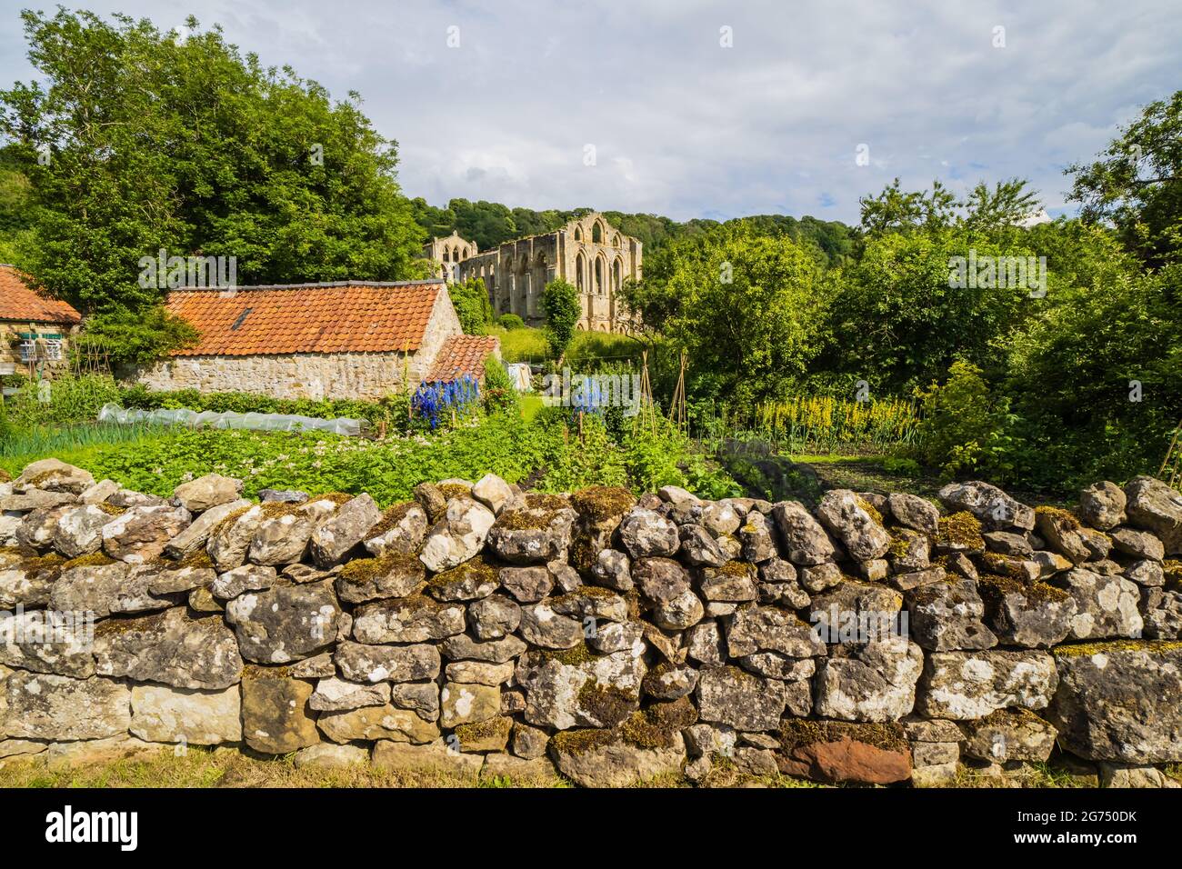 07.07.21 Abbaye de Rievaulx, Hlmsley, North Yorkshire avec portes doubles en face le jour de l'été Banque D'Images