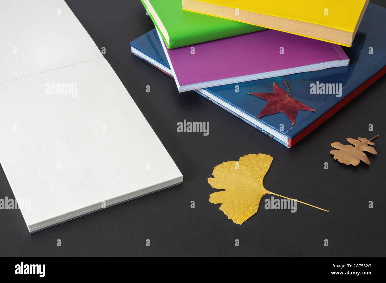 Concept scolaire. Livres colorés et croquis ouverts sur fond sombre. Feuilles d'automne. Espace libre pour le texte ou l'image Banque D'Images