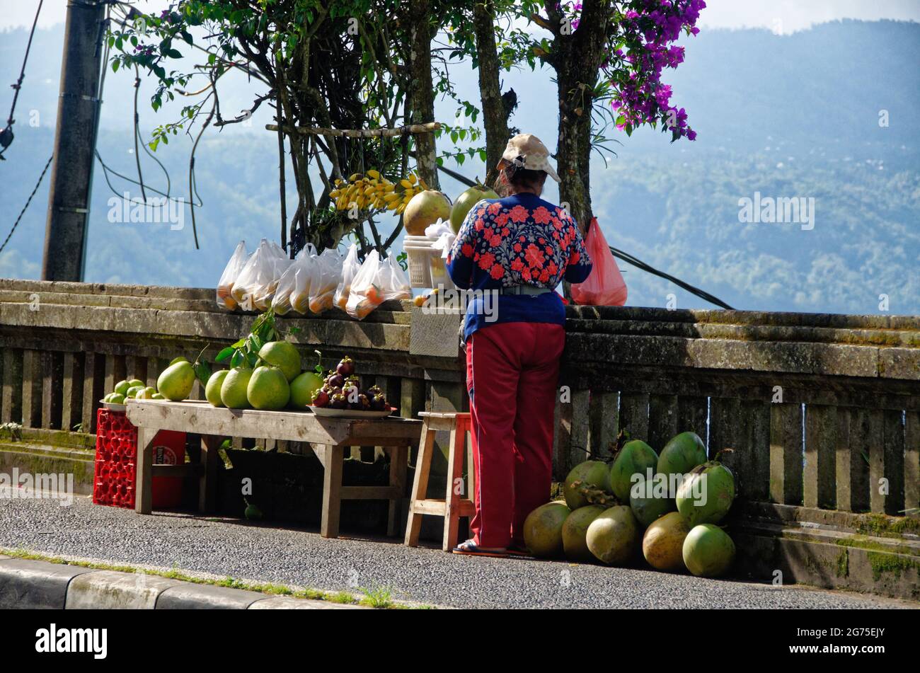 Vendeurs de fruits avec melons et boissons rafraîchissantes au point d'observation du mont Batur, Bali, Indonésie Banque D'Images