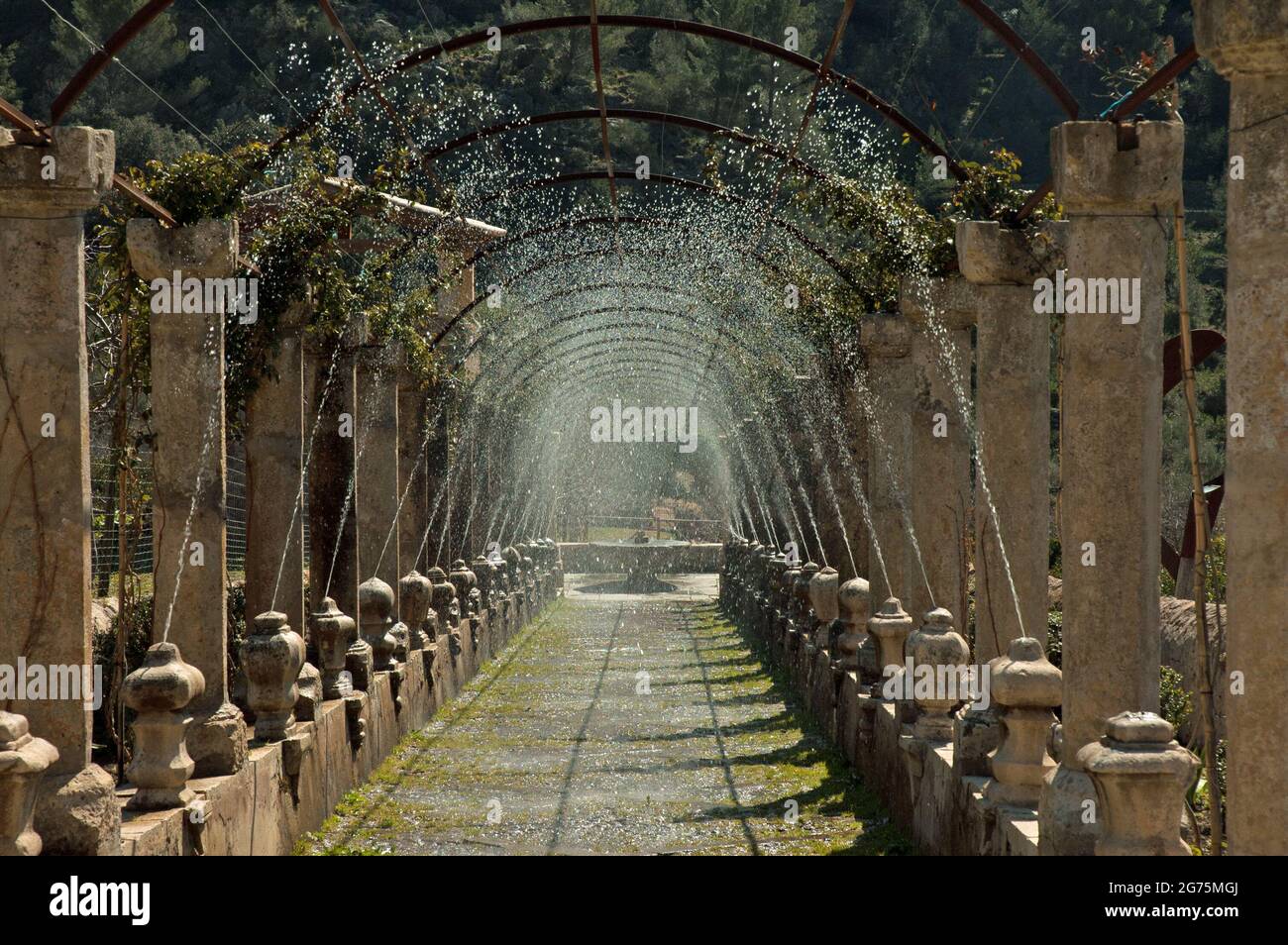 Jardín d´Alfabia, Majorque, Iles Baléares Banque D'Images