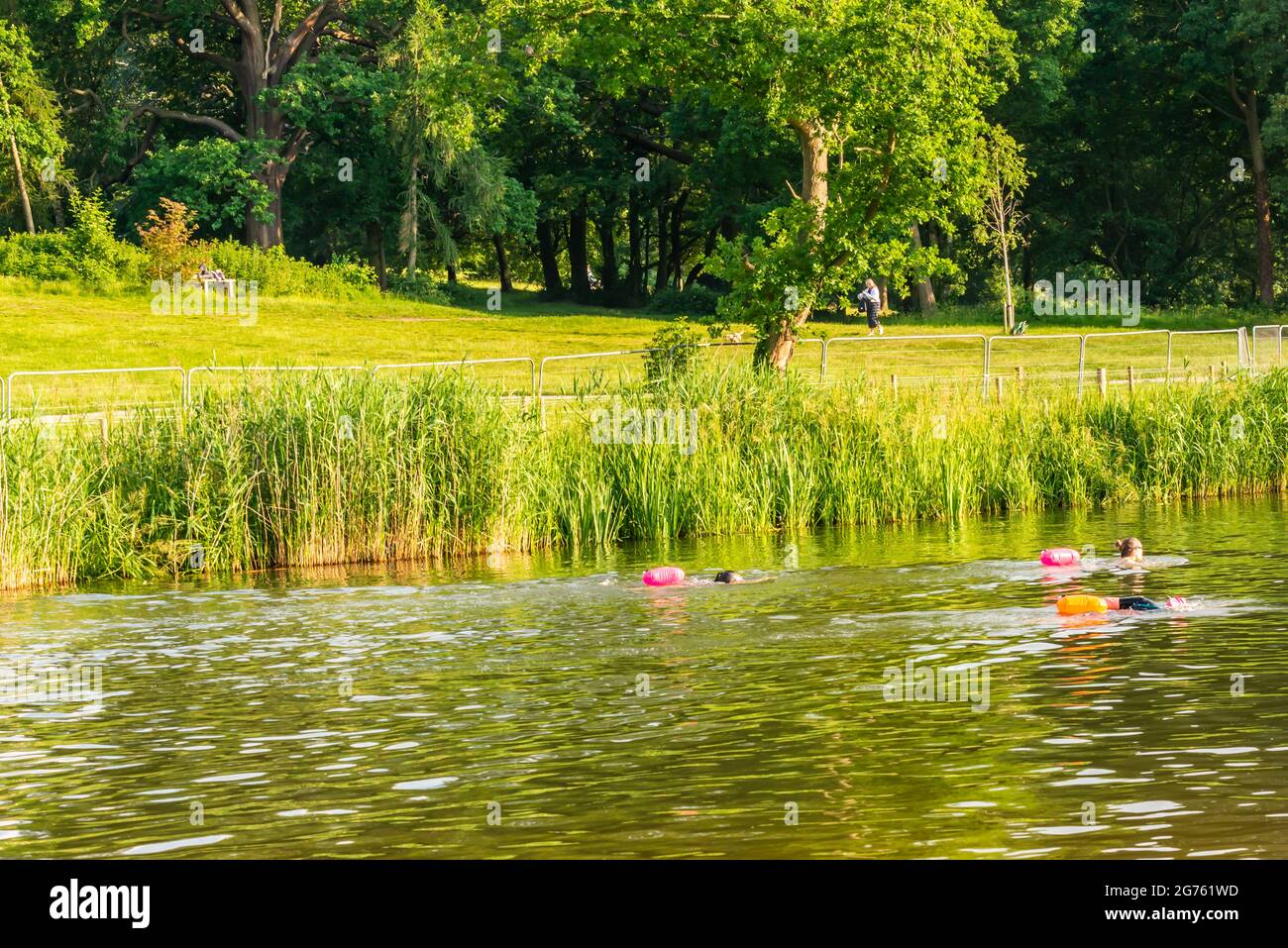 Londres, Beckenham, Royaume-Uni - 23 juin 2021 : lac de baignade de Beckenham place Park, un endroit populaire pour la natation sauvage et les cours de yoga SUP Banque D'Images