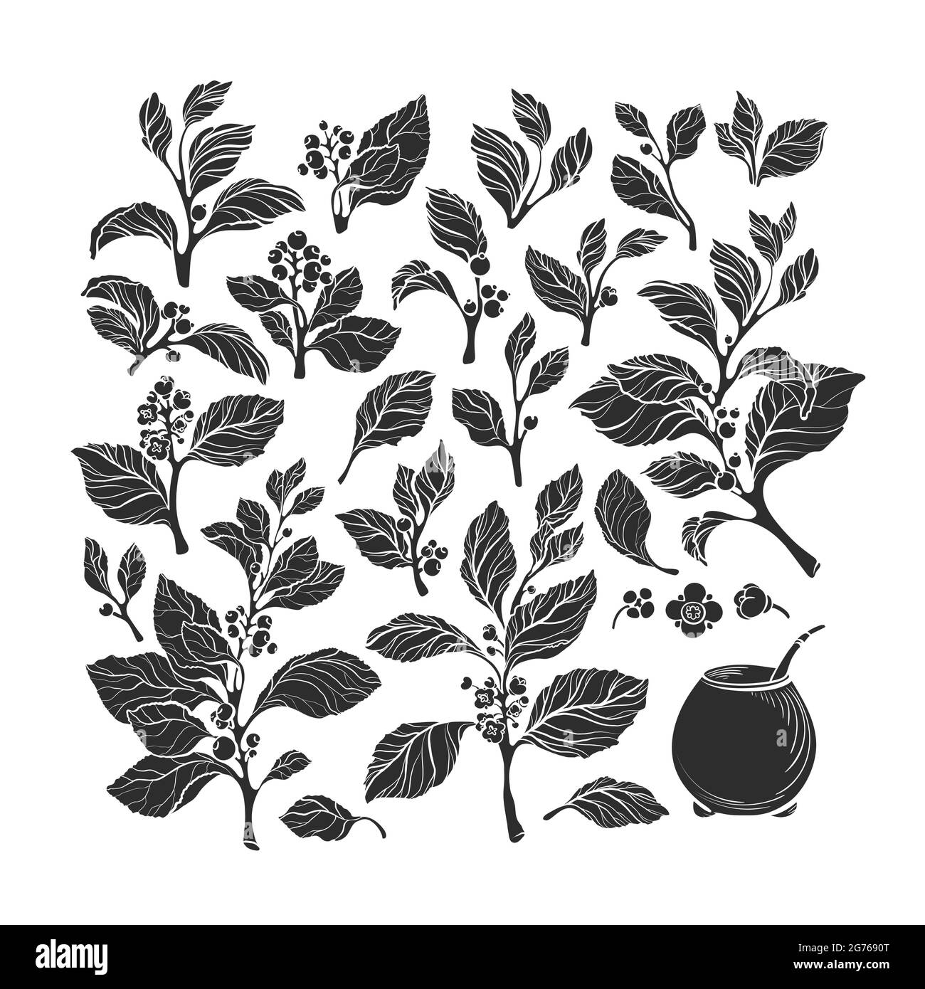 Ensemble de plantes de contrainte, calabash. Silhouette florale vectorielle de feuilles, branche, fleur, baie. Collection d'art isoler sur fond blanc. Bio traditionnel h Illustration de Vecteur Ensemble de plantes de contrainte, calabash. Silhouette florale vectorielle de feuilles, branche, fleur, baie. Collection d'art isoler sur fond blanc. Bio traditionnel h Illustration de Vecteur