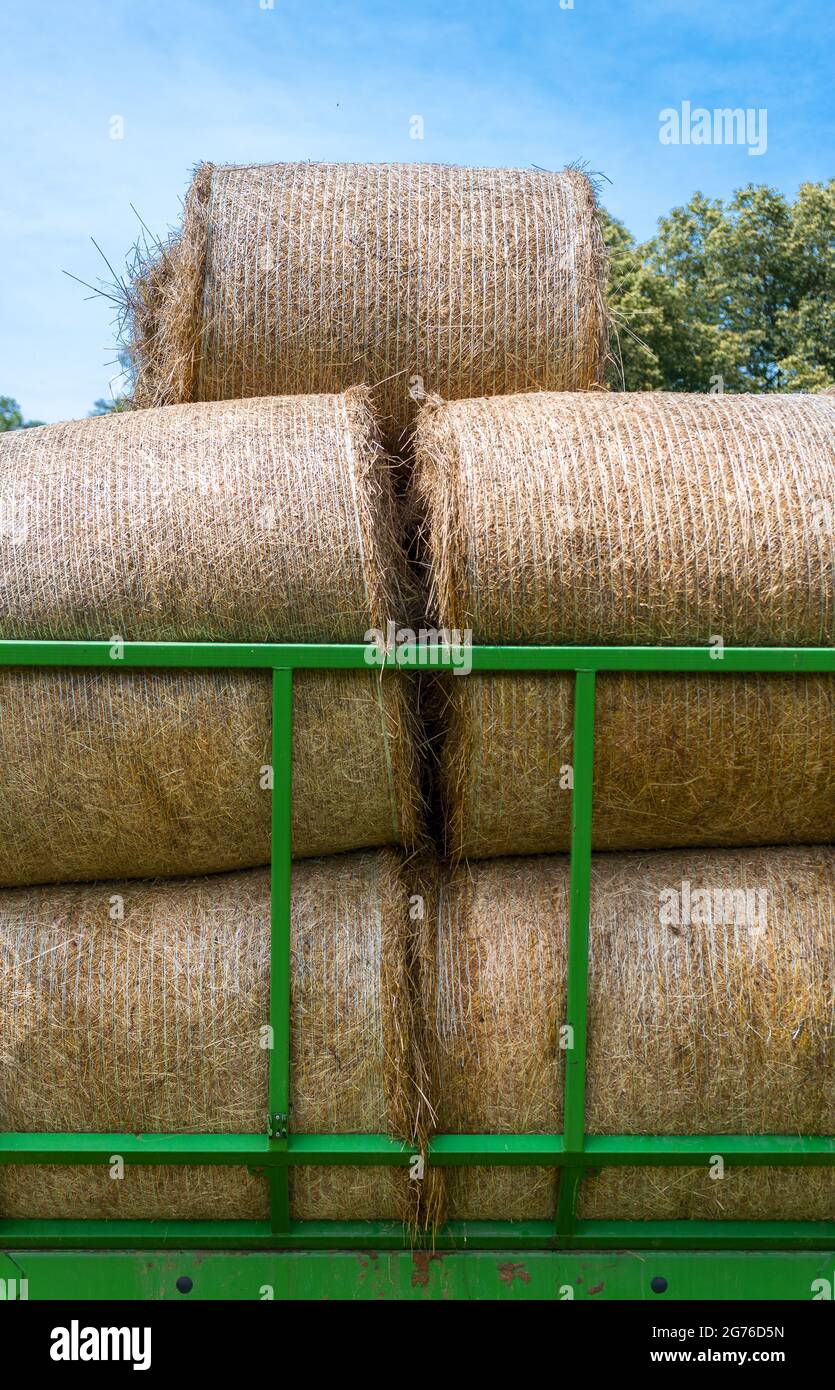 Remorque verte remplie de balles de foin dans un paysage rural par une journée ensoleillée. Banque D'Images