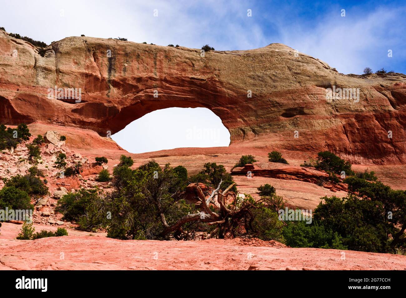 Wilson Arch dans l'Utah Banque D'Images