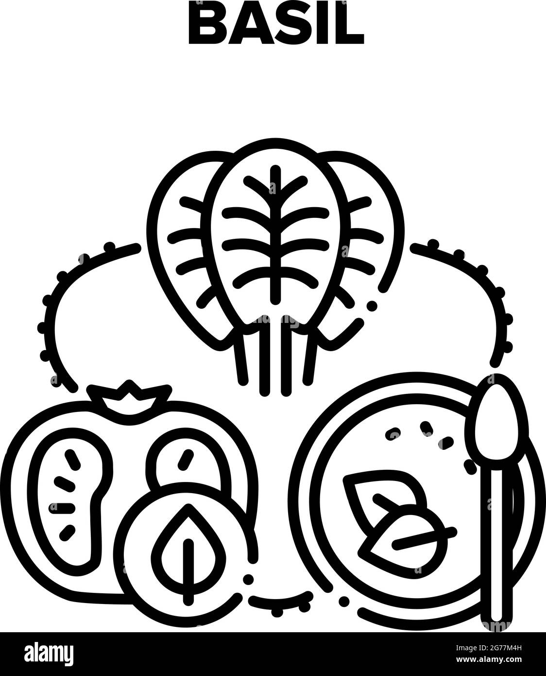 Illustration noire basilic Spice Vector Illustration de Vecteur