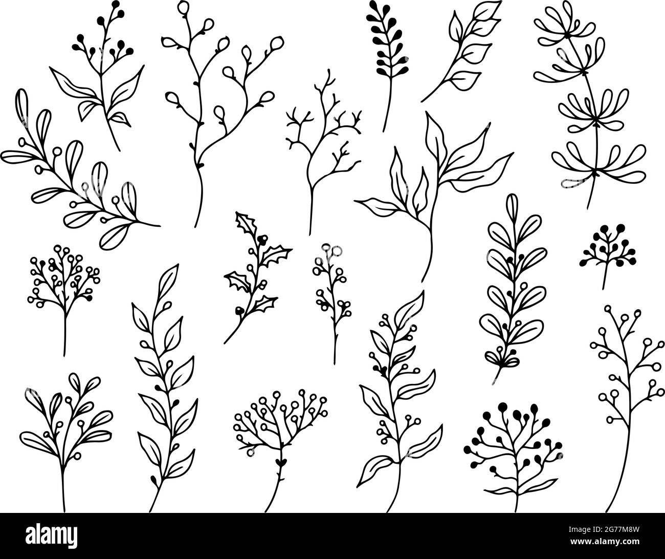 Ensemble d'éléments floraux dessinés à la main, de plantes et de branches d'oodle sur un fond blanc. Éléments de conception esqutifs. Illustrations vectorielles. Illustration de Vecteur