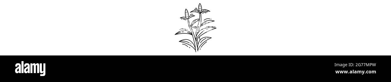 Icône d'agriculture de champ de maïs. Jeu d'icônes dessinées à la main, contour noir, icône d'oedle, conception d'icône de vecteur. Illustration de Vecteur